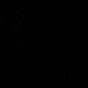 Meet your Posher, Ella